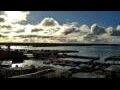 Webcam Auckland