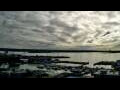 Webcam Auckland