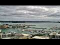 Webcam Auckland
