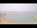 Webcam Colònia de Sant Pere (Mallorca)