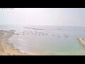 Webcam Colònia de Sant Pere (Mallorca)
