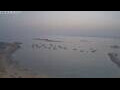 Webcam Colònia de Sant Pere (Mallorca)
