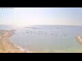 Webcam Colònia de Sant Pere (Majorca)