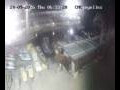 Webcam Lloret de Mar
