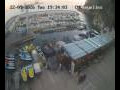 Webcam Lloret de Mar