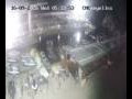Webcam Lloret de Mar