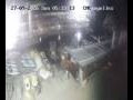 Webcam Lloret de Mar