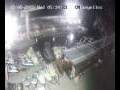 Webcam Lloret de Mar