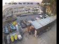 Webcam Lloret de Mar