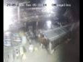 Webcam Lloret de Mar