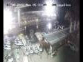 Webcam Lloret de Mar