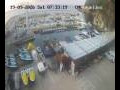 Webcam Lloret de Mar