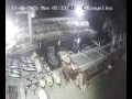 Webcam Lloret de Mar