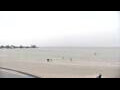 Webcam Makkum