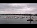 Webcam Dinard