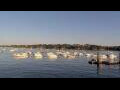 Webcam Dinard