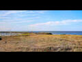 Webcam Noirmoutier