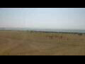 Webcam Cavallino-Treporti