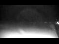 Webcam Cavallino-Treporti