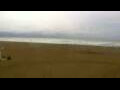 Webcam Cavallino-Treporti
