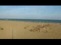 Webcam Cavallino-Treporti