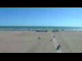 Webcam Cavallino-Treporti