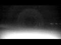 Webcam Cavallino-Treporti