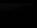 Webcam Cavallino-Treporti