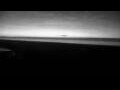 Webcam Cavallino-Treporti