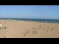 Webcam Cavallino-Treporti