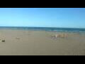 Webcam Cavallino-Treporti