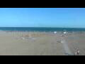 Webcam Cavallino-Treporti