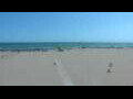 Webcam Cavallino-Treporti