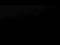 Webcam Cavallino-Treporti