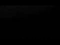 Webcam Cavallino-Treporti