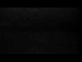 Webcam Cavallino-Treporti