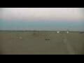 Webcam Cavallino-Treporti