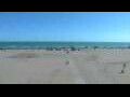 Webcam Cavallino-Treporti