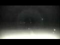 Webcam Cavallino-Treporti