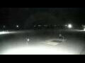 Webcam Cavallino-Treporti