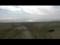 Webcam Cavallino-Treporti