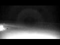 Webcam Cavallino-Treporti