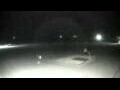 Webcam Cavallino-Treporti