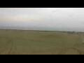 Webcam Cavallino-Treporti