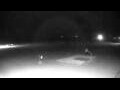 Webcam Cavallino-Treporti