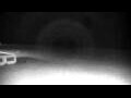Webcam Cavallino-Treporti