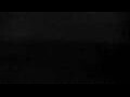 Webcam Cavallino-Treporti