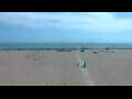 Webcam Cavallino-Treporti