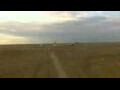 Webcam Cavallino-Treporti