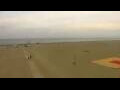 Webcam Cavallino-Treporti